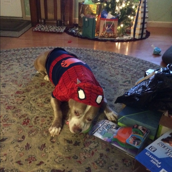 Meet your Posher, Kiersten - Picture 3 of 11